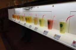 果汁工房 果琳 テラスモール湘南店