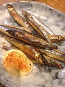 椨の木