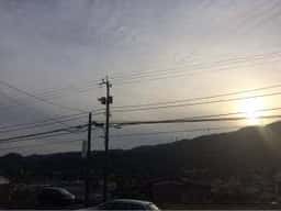 らびっと