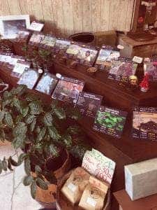 Puente Coffee