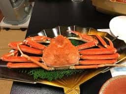 the 美松