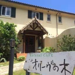オリーヴの木
