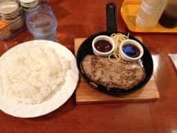 Cook Dolphin