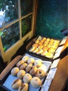 爬虫類両生類研究所8 喫茶 分室