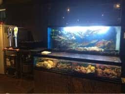 海鮮浜焼き 凪