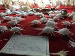 洋酒喫茶 貝の店 ロダン