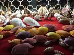 洋酒喫茶 貝の店 ロダン