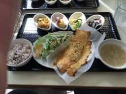ドッグランカフェ加恋ちゃん家