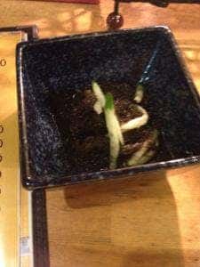 とぅるばるや