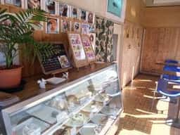 ジョージワシントン