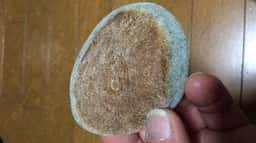 こんにゃくの里