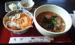 柳川