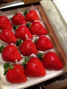 果実専門店 丸留