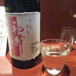 燦坐