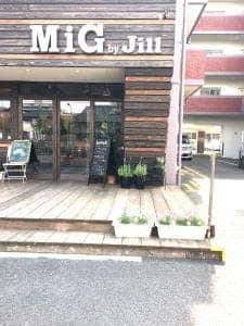 MiG by Jill