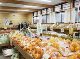 荒尾ときめき市