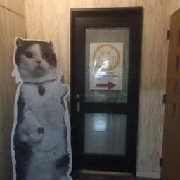 猫カフェ れおん