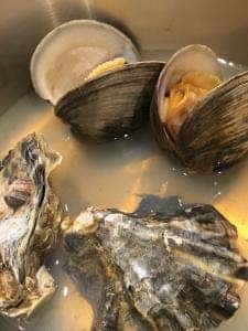 魚市肉商 どんぶらこ