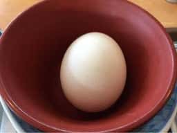 すき家 加須南大桑店