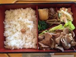 啄木鳥