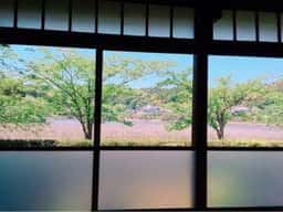 八鶴亭