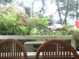 カフェレスト まつぼっくり