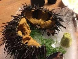 馳走処さくら亭