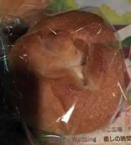 まるぱん工房