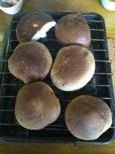 谷汲しいたけ園