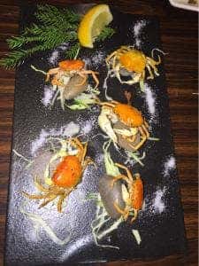 JAPANESE ROBATA ぴかり魚