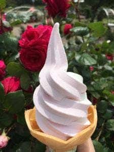 かのやばら園 ローズダイナー