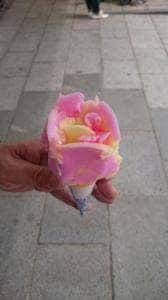 セリオンカフェ