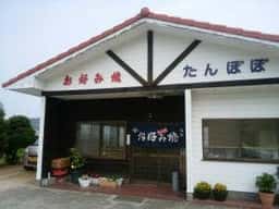たんぽぽ