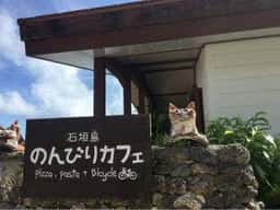 石垣島 のんびりカフェ