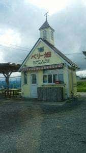 ベリー畑 福田ファーム