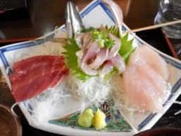 城ヶ崎オレンジ村