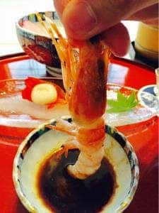 にっしょうかん 別邸 紅葉亭