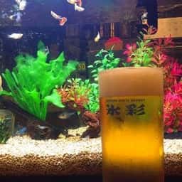 居酒屋 民美