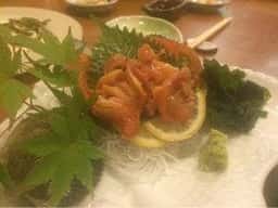 季節料理蕗
