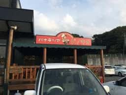 パナテリア ピノキオ