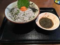 春海