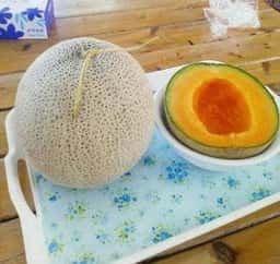 福田メロン農園