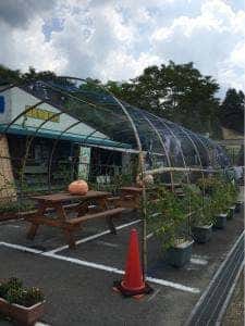 サバーキッチン