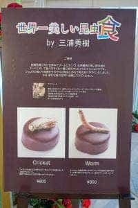 パレスティーサロン