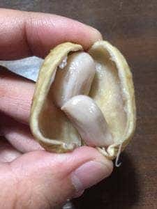 すぐるや