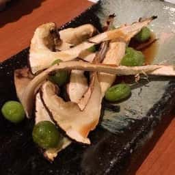 扇木