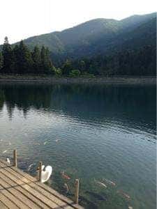 ミッシェル 伊奈ケ湖店