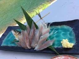 鹿沼観光 下沢ヤナ