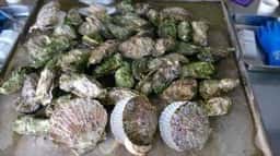 かき小屋 唐桑番屋