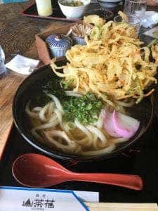 内子町役場 五十崎凧博物館山茶花